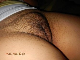 Le panoché peludé de la primé