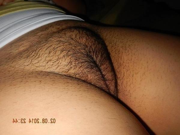 Le panoché peludé de la primé